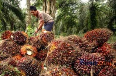 Petani Sawit Riau Ingin Kelola Pabrik Pengolahan Sendiri