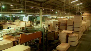 PENERAPAN SLVK: Produsen Barecore Beralih ke Kayu Rakyat