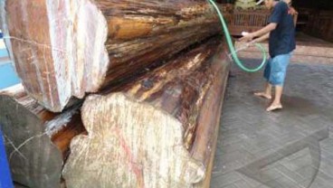 6 Investror Asing Garap Pengolahan Kayu, Tapi Kemenhut Tidak Tahu