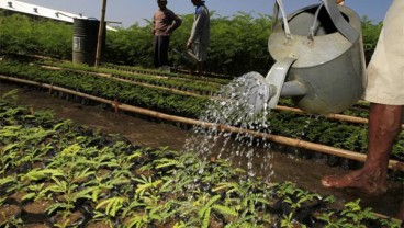 URBAN FARMING: Kementan Ajak Instansi Lain