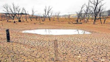 El Nino Tiba Lebih Awal, Kemendag Belum Umumkan Rencana Antisipasi
