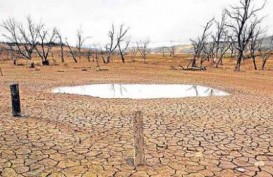 El Nino Tiba Lebih Awal, Kemendag Belum Umumkan Rencana Antisipasi