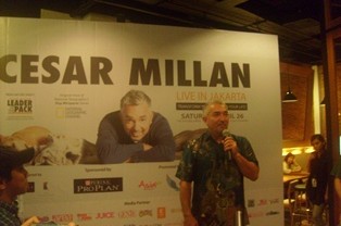 Dog Whisperer: Cesar Millan Kunjungi Jakarta, Beri Pelatihan Pahami Anjing