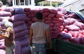 HARGA BAWANG:  Dari Rp60.000 Tinggal Rp6.000/Kg