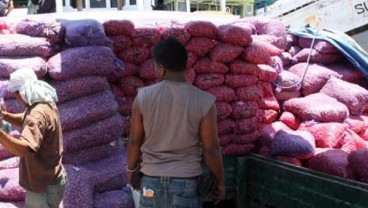HARGA BAWANG:  Dari Rp60.000 Tinggal Rp6.000/Kg