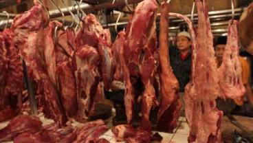 DUBES AUSTRALIA: Indonesia Jadi Masa Depan Bagi Bisnis Australia