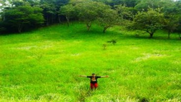 Atasi Masalah Pakan, Peternak Diimbau Manfaatkan Padang Rumput Ini