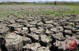 Dampak El Nino Terlihat Mulai September, Musim Kemarau Bisa Panjang