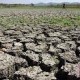 Dampak El Nino Terlihat Mulai September, Musim Kemarau Bisa Panjang