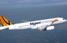 Citilink Bantah Rumor Hendak Akuisisi Tiger Air Mandala