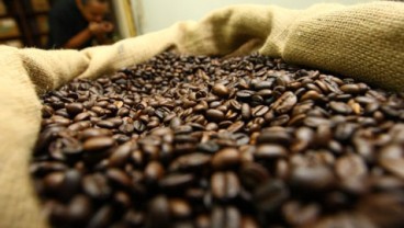 Harga Kopi Robusta Melejit 1,26%