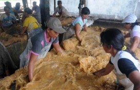 FESTIVAL PANGAN SAGU NUSANTARA 2014: Warga Riau Olah Sagu Jadi Brownies