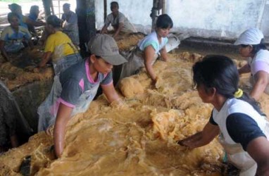 FESTIVAL PANGAN SAGU NUSANTARA 2014: Warga Riau Olah Sagu Jadi Brownies