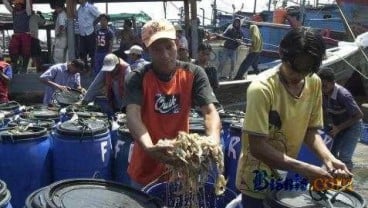 KKP Genjot Potensi Lahan Budidaya Laut