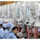 EKONOMI CHINA: Sektor Jasa Melemah, Pertumbuhan Tenaga Kerja Turun