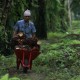 Petani Sawit Kecewa dengan Tuduhan Deforestasi dari Kementan
