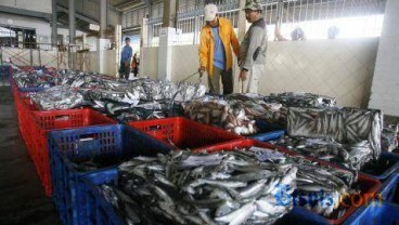 Lebih 75% Bahan Baku Ikan Kaleng dari Impor