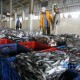 Lebih 75% Bahan Baku Ikan Kaleng dari Impor