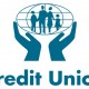 KEUANGAN MIKRO: Perputaran Uang Credit Union Capai Rp3 Triliun