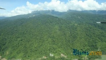 Kawasan Hutan Jantung Borneo Berkurang 2 Juta Hektare