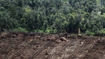 Ahli Tanah ITB: Kerusakan Lahan Gambut Rawa Tripa Sangat Parah