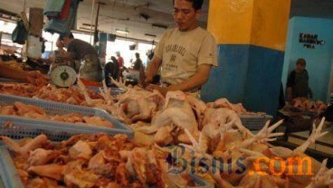 DAGING UNGGAS: Jelang Puasa, Kebutuhan Naik Hingga 25%