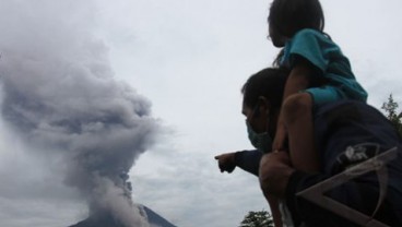 KORBAN SINABUNG: Dompet Dhuafa Bantu Petani