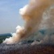 3 Saran Greenpeace untuk Cegah Kebakaran Hutan di Indonesia