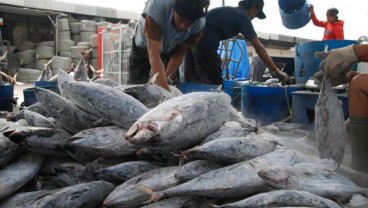 KONSUMSI IKAN: Selama Puasa Ramadhan Diprediksi Naik 7 %