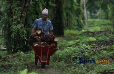 Sumsel Diminta Selesaikan Hilirisasi Perkebunan