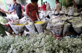 Omset Pasar Bunga Rawabelong Jakarta Rp125 Miliar Tahun ini