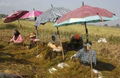 Petani Di Kaltim Isi Rencana Definitif