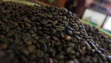 HARGA KOPI: Robusta Bergerak Turun 0,05%