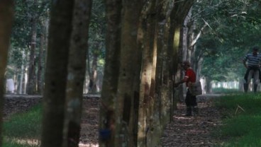 ASPIRASI ANDA: Kerusakan Lingkungan Akibat Perkebunan Besar