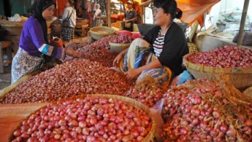 Produksi Bawang dan Cabe Jateng Diproyeksikan Surplus