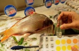 Ikan Berformalin Beredar di 4 Pasar Jakarta Berikut