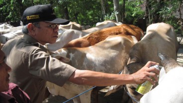 INDO LIVESTOCK 2014: Ada Temu Bisnis dan Seminar, Ini Rinciannya