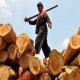 SERTIFIKAT KAYU, Hutan Rakyat Pasok 46% Kebutuhan Kayu Nasional