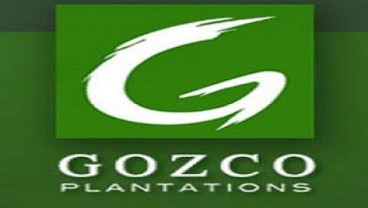 BUYBACK SAHAM, Gozco Plantations (GZCO) Anggarkan Rp60 Miliar