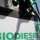 Kementerian ESDM Rintis Bahan Baku Biofuel dari Algae