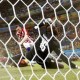 PIALA DUNIA 2014: Gol Olic di Menit 11 Bawa Kroasia Unggul 1-0 atas Kamerun