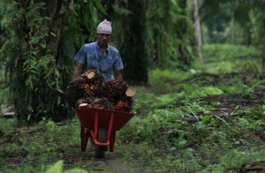 KETAHANAN ENERGI: Industri Kelapa Sawit Diminta Ikut Berperan