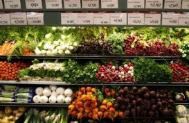PERTANIAN ORGANIK: Prospek Pasar Tumbuh Hingga US$5 Miliar/Tahun