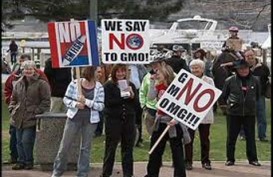 REKAYASA GENETIKA: Perpres Diteken, Benih GMO Selangkah Lagi Beredar
