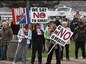 REKAYASA GENETIKA: Perpres Diteken, Benih GMO Selangkah Lagi Beredar