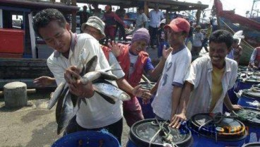 PAKAN IKAN: Jelang Lebaran, Produksi Ditargetkan Naik 15%