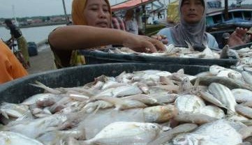 Potensi Kelautan Bocor: Penangkapan Ikan Lebihi Batas