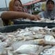 Potensi Kelautan Bocor: Penangkapan Ikan Lebihi Batas