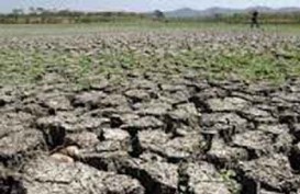 DAMPAK EL NINO: Dua Wilayah Ini Akan Alami Kemarau Parah