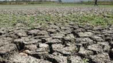 DAMPAK EL NINO: Dua Wilayah Ini Akan Alami Kemarau Parah